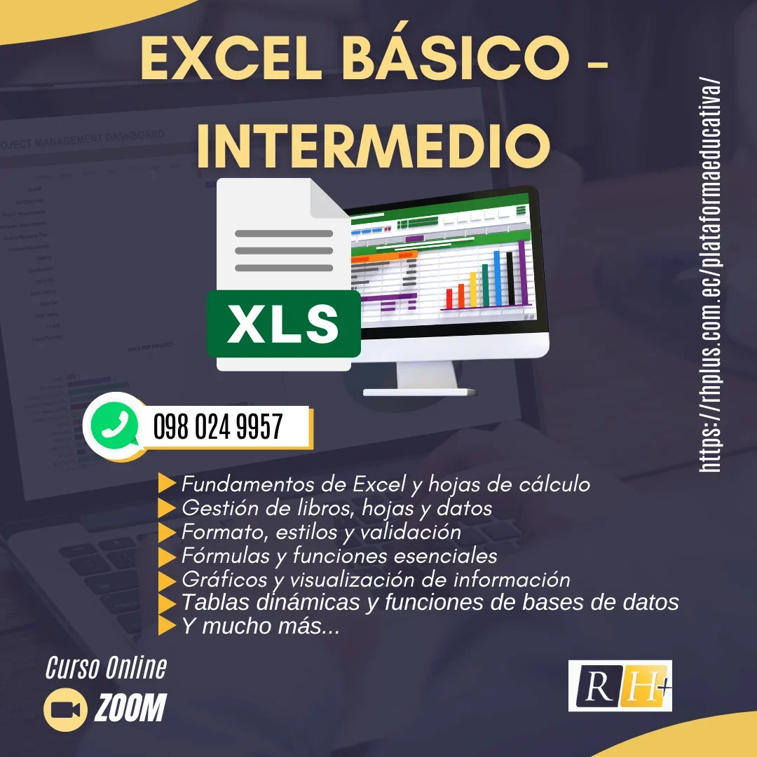 Curso excel básico intermedio